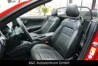 Ford Mustang 5.0 GT Cabrio - Image 12